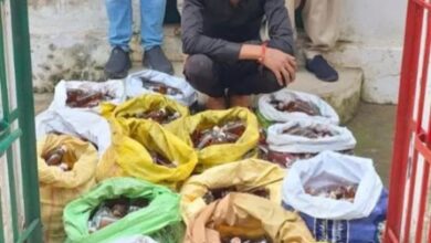 बलौदाबाजार में आबकारी विभाग की बड़ी कार्रवाई, 96 हजार की अवैध शराब जब्त...