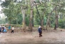 कवर्धा में बारिश का कहर: पुल नहीं, नदी में फंसे स्कूली बच्चे… ग्रामीणों ने risking जान देकर किया रेस्क्यू...