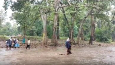 कवर्धा में बारिश का कहर: पुल नहीं, नदी में फंसे स्कूली बच्चे… ग्रामीणों ने risking जान देकर किया रेस्क्यू...