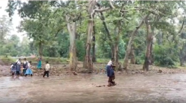 कवर्धा में बारिश का कहर: पुल नहीं, नदी में फंसे स्कूली बच्चे… ग्रामीणों ने risking जान देकर किया रेस्क्यू...