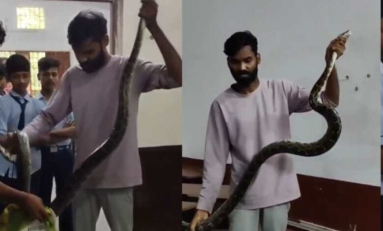 क्लासरूम में घुसा विशालकाय अजगर: आत्मानंद स्कूल में फुंकार से मचा हड़कंप, सर्प विशेषज्ञों ने किया सुरक्षित रेस्क्यू...