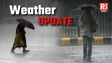 छत्तीसगढ़ में ‘मोन्था’ चक्रवात का असर: अगले 3 दिनों तक तेज हवाओं और भारी बारिश की चेतावनी, कई जिलों में अलर्ट जारी...