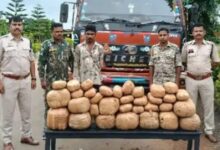 जगदलपुर पुलिस की बड़ी कार्रवाई: 7 लाख का 73 किलो गांजा जब्त, मध्यप्रदेश का ट्रक ड्राइवर गिरफ्तार...
