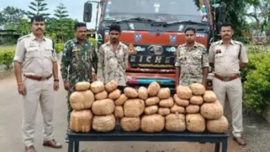 जगदलपुर पुलिस की बड़ी कार्रवाई: 7 लाख का 73 किलो गांजा जब्त, मध्यप्रदेश का ट्रक ड्राइवर गिरफ्तार...