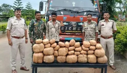 जगदलपुर पुलिस की बड़ी कार्रवाई: 7 लाख का 73 किलो गांजा जब्त, मध्यप्रदेश का ट्रक ड्राइवर गिरफ्तार...