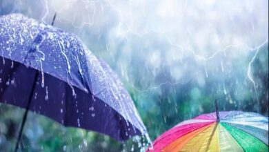 छत्तीसगढ़ में मौसम का मिजाज बदला: रायपुर समेत 11 जिलों में बारिश के आसार, ठंड बढ़ने लगी...