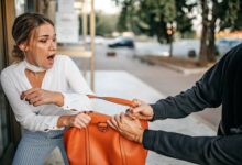 महिला शिक्षिका से पर्स लूटने वाला आरोपी गिरफ्तार, साथी नाबालिग भी शामिल – पुलिस ने बाइक व सामान किया बरामद...