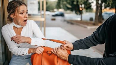 महिला शिक्षिका से पर्स लूटने वाला आरोपी गिरफ्तार, साथी नाबालिग भी शामिल – पुलिस ने बाइक व सामान किया बरामद...