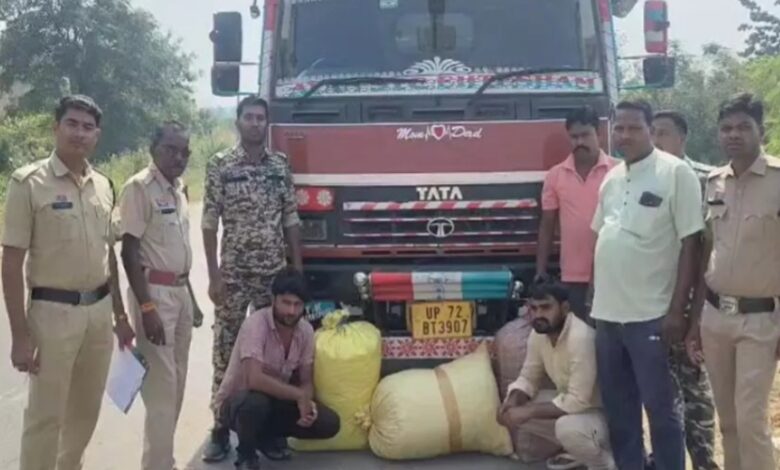 महासमुंद में बड़ी कार्रवाई: यूपी जा रही ट्रक से 12 लाख का गांजा जब्त, दो तस्कर गिरफ्तार...