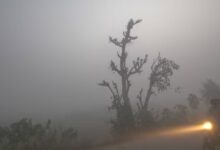 छत्तीसगढ़ में कड़ाके की ठंड: रायपुर समेत कई जिलों में शीतलहर का येलो अलर्ट जारी...