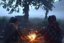 सरगुजा में शीतलहर बरकरार, रायपुर में शुष्क मौसम और तापमान में बढ़ोतरी के संकेत...