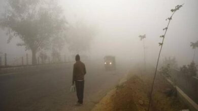 छत्तीसगढ़ में कड़ाके की ठंड: दुर्ग 11°C पर, सरगुजा–बिलासपुर में शीतलहर जारी...