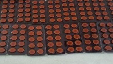 Raipur Breaking: 440 नशीली टेबलेट के साथ आरोपी अविनाश सिंह गिरफ्तार, ऑपरेशन निश्चय के तहत बड़ी कार्रवाई...