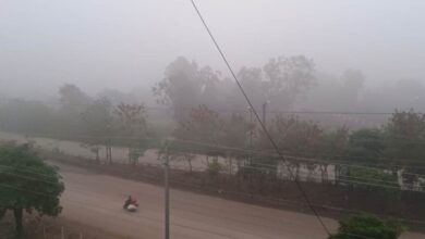 CG Weather Update: उत्तर से चली सर्द हवाओं ने बढ़ाई ठिठुरन, छत्तीसगढ़ में अगले 3 दिन शीतलहर के आसार – तापमान 3 डिग्री तक गिर सकता है...