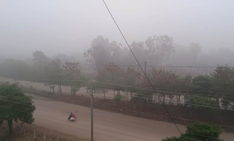 CG Weather Update: उत्तर से चली सर्द हवाओं ने बढ़ाई ठिठुरन, छत्तीसगढ़ में अगले 3 दिन शीतलहर के आसार – तापमान 3 डिग्री तक गिर सकता है...