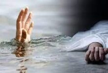 शिवनाथ नदी में कूदकर महिला की मौत, राजनांदगांव के मोहारा क्षेत्र में मिला शव...