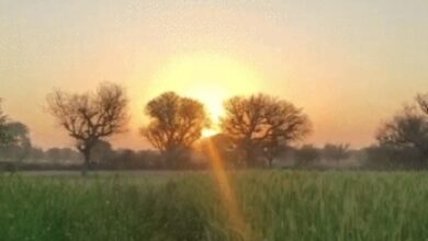 CG Weather Update: अगले 3 दिन थमेगी ठंड की रफ्तार, तापमान बढ़ने के आसार — उत्तर छत्तीसगढ़ में शीतलहर का असर जारी...