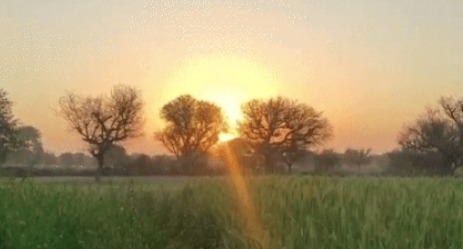 CG Weather Update: अगले 3 दिन थमेगी ठंड की रफ्तार, तापमान बढ़ने के आसार — उत्तर छत्तीसगढ़ में शीतलहर का असर जारी...