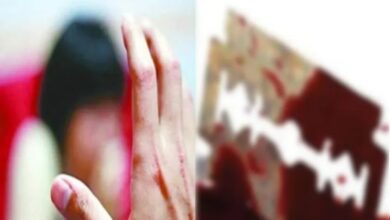 राजनांदगांव: 17 वर्षीय छात्रा पर ब्लेड से हमला, जान से मारने की धमकी, आरोपी के खिलाफ BNS की धाराओं में मामला दर्ज...