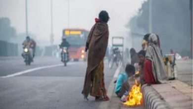 CG Weather News: छत्तीसगढ़ में बढ़ेगी ठिठुरन, अगले 48 घंटों में 1-3°C तक गिर सकता है तापमान...