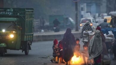 CG Weather Update: छत्तीसगढ़ में कड़ाके की ठंड! अगले दो दिन आधा राज्य शीतलहर की चपेट में...