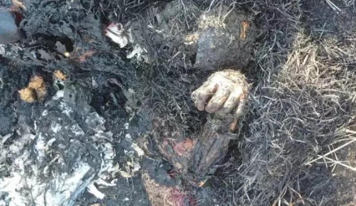 CG Crime: दुर्ग में सनसनी नहर किनारे मिली युवती की अधजली लाश, हत्या की आशंका...