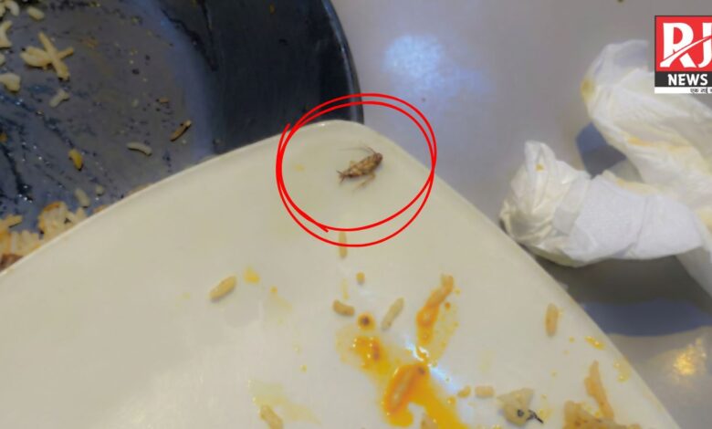 Raipur News: भाटागांव बस स्टेशन के पास रेस्टोरेंट में बवाल—ग्राहक ने बिरयानी में कॉकरोच मिलने का VIDEO दिखाया...