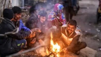 CG Weather Update: छत्तीसगढ़ में कड़ाके की ठंड! रायपुर–सरगुजा समेत कई जिलों में शीतलहर का अलर्ट जारी...