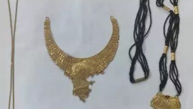 CG News: भाई ने किया दीदी के घर से 2.5 लाख की चोरी, दोस्त के साथ भाई गिरफ्तार...