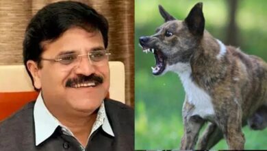 आवारा कुत्तों का आतंक: पूर्व महापौर Pramod Dubey के बेटे को चार कुत्तों ने काटा, बोले– कागजों में सिमटी हैं योजनाएं...