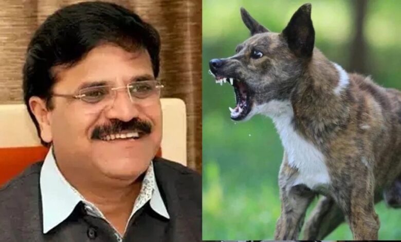 आवारा कुत्तों का आतंक: पूर्व महापौर Pramod Dubey के बेटे को चार कुत्तों ने काटा, बोले– कागजों में सिमटी हैं योजनाएं...