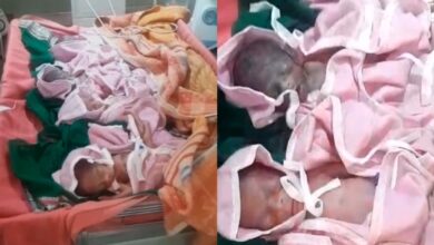 Chhindwara Four Babies: जब ऊपर वाला देता है तो छप्पर फाड़ के देता है ,छिंदवाड़ा में एक साथ चार बच्चों का जन्म, मां और नवजात पूरी तरह स्वस्थ…