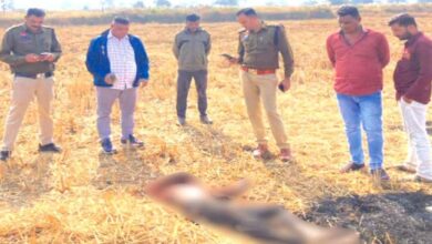 Raipur News: बहन के प्रेम संबंध बना हत्या की वजह, छपौरा गांव हत्याकांड में दो आरोपी गिरफ्तार...