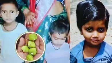 पल भर में उजड़ गई दुनिया: कनेर का फल खाने से तीन मासूम बच्चियों की मौत, गांव में मातम...