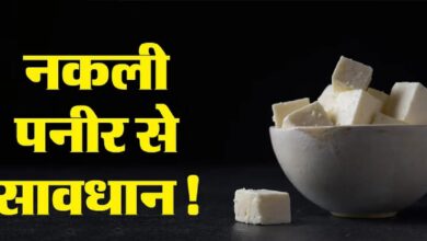 Fake Paneer Raid: रायपुर के भाठागांव में गोदाम पर छापा, 1700 किलो नकली पनीर बरामद...