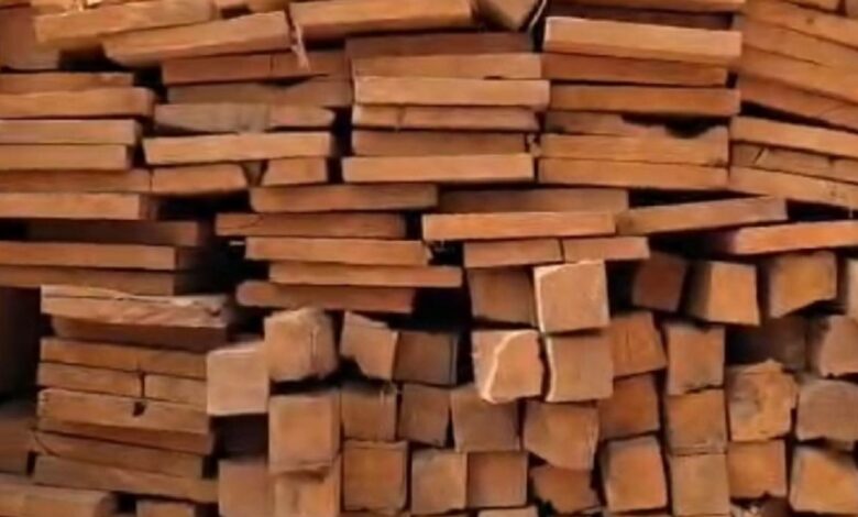 दंतेवाड़ा में वन विभाग की बड़ी रेड: 175 नग सागौन लकड़ी जब्त, लकड़ी माफियाओं पर केस दर्ज...