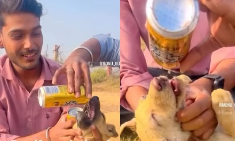 आवारा पिल्ले को जबरन लिक्विड पिलाने का वीडियो वायरल, जानवरों पर क्रूरता को लेकर सोशल मीडिया में उबाल...