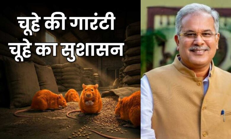 पूर्व मुख्यमंत्री भूपेश बघेल ने भाजपा सरकार पर कसा तंज, कहा छत्तीसगढ़ में धान पर चूहे की गारंटी, चूहे का सुशाशन, कुतर गए 30 करोड़ धान...